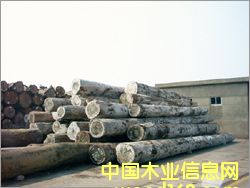 ���޺�̴��Ԕ����B