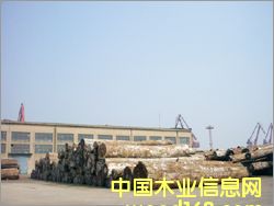 ����Ī���ȼt���ҵ�Ԕ����B