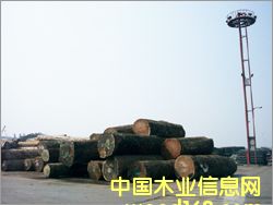 ����ɳ������Ԕ����B