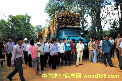 ����ľ�Sľ���\(y��n)ݔ�F(xi��n)��(ch��ng)��Ԕ��(x��)��B