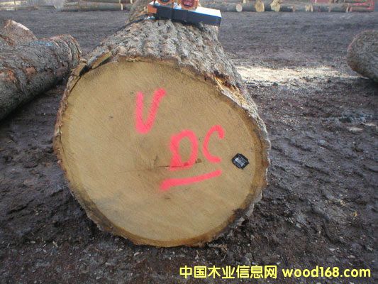 ����ľ�Sľ�ĵ�Ԕ��(x��)��B