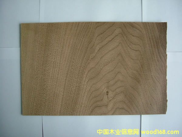 ���Ҙ�Ƥ��Ԕ����B