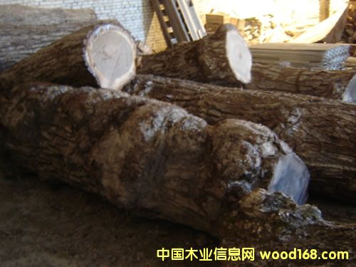 ���Ҙ���