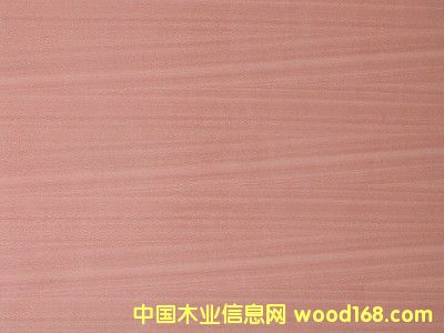 Sapele Plywood��Ԕ����B