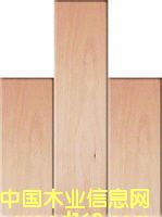 ���ӌ�(sh��)ľ��(f��)�ϵذ��Ԕ��(x��)��B