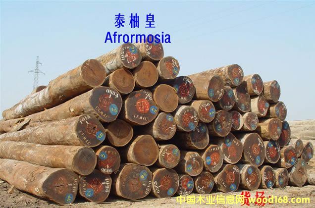 AFRORMOSIA �� �� �� ľ��Ԕ����B