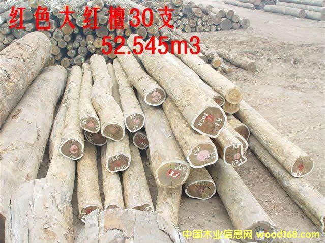 PAO ROSA        �� �t ̴��Ԕ����B