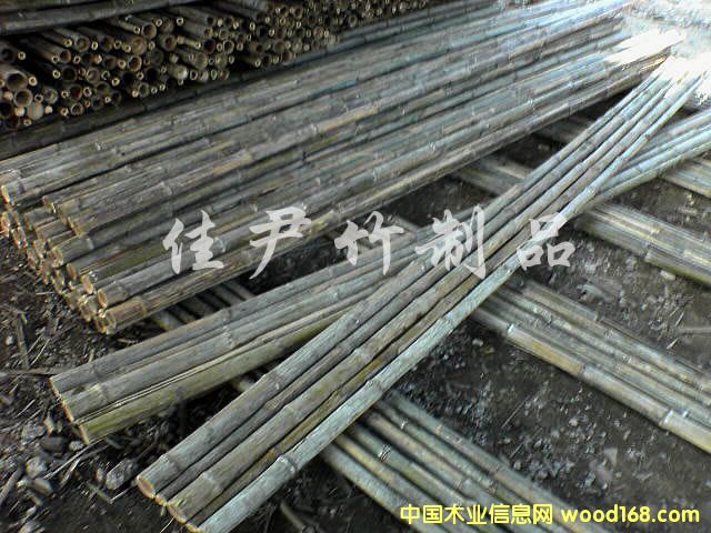 �������Ԕ����B