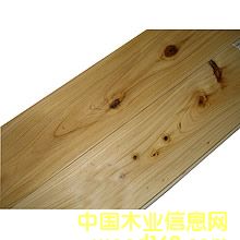 ���ľ��Ԕ����B