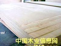 �h(hu��n)���ͼ���ľ�C(j��)�ƃ�(y��u)��(j��)���ɰ��Ԕ��(x��)��B