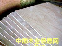 �h(hu��n)���ͼ���ľ�C(j��)�ƃ�(y��u)��(j��)���ɰ��Ԕ��(x��)��B