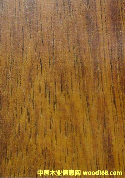 ��ľ�ذ��Ԕ��(x��)��B