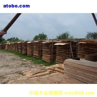 �����m�߼��N����Ԕ����B