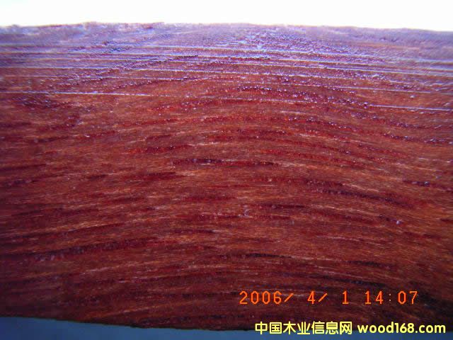 �Ĵ������t��䏲ĵ�Ԕ����B