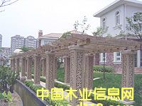 ����ľ��-����