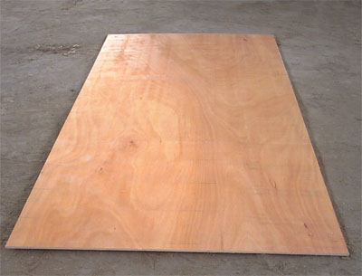 ���Ӱ��Ԕ����B