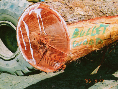 �c���鿴�@ʯ�t̴�Ŵ�DƬ