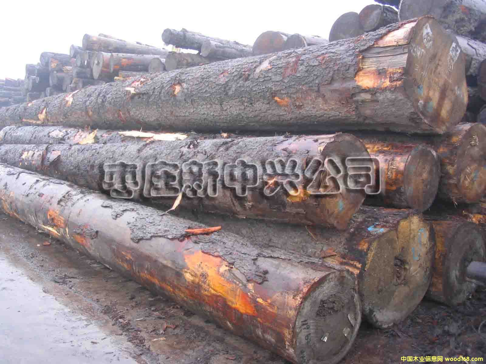 ���ô���ɼ