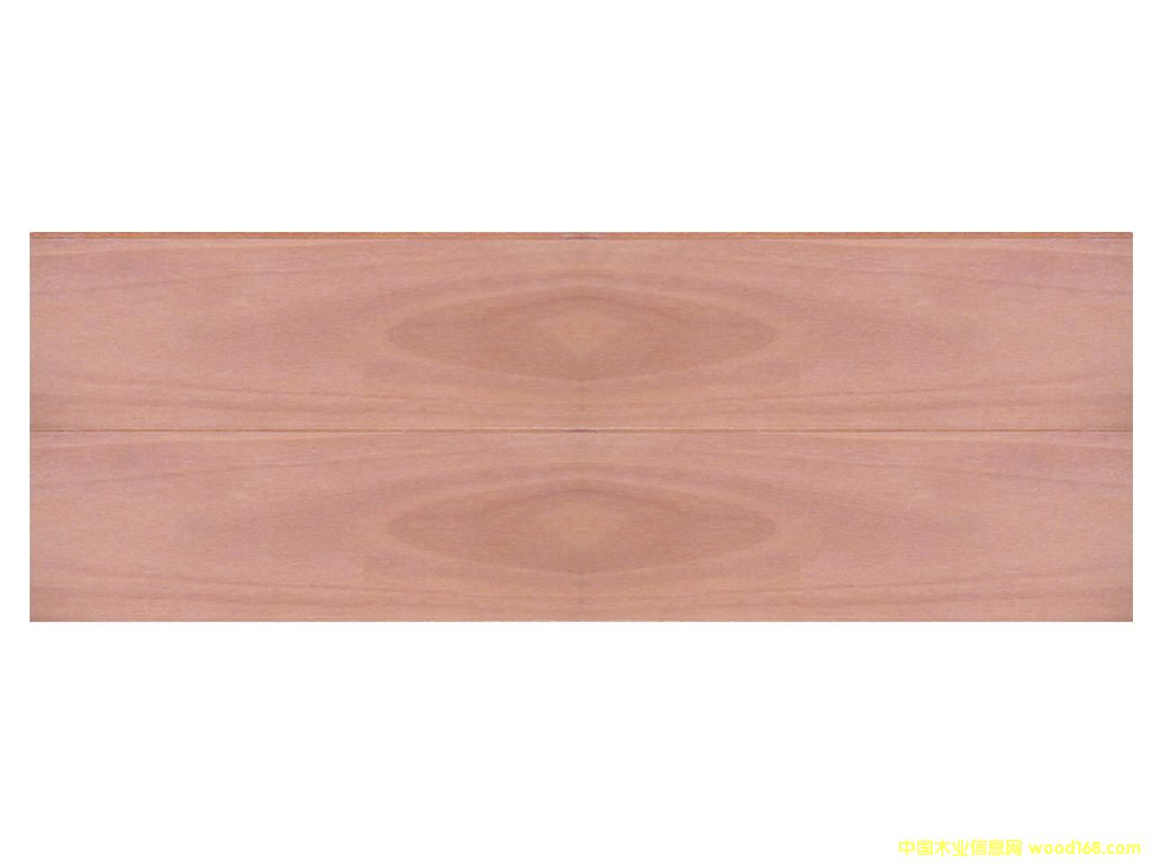 �{�׶๦���a(b��)©����Ԕ��(x��)��B