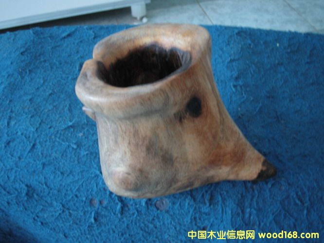 ���F��Nľ���PͲ