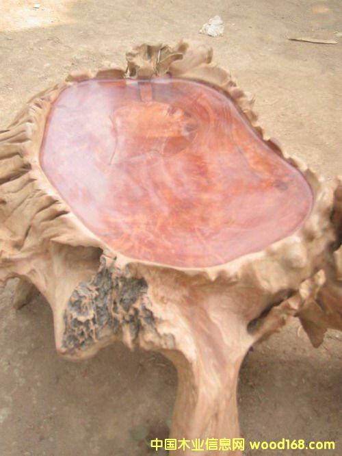 �tľ���(5)��Ԕ��(x��)��B