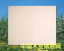 ͩľ�Ҿ� ���Ԕ��(x��)��B