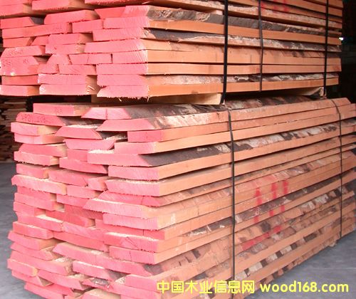 �W��BEECH��ë߅��Ԕ����B