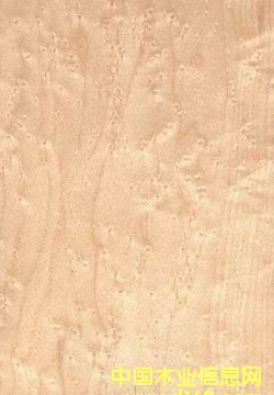 �B�ۗ����b�����Ƭ��