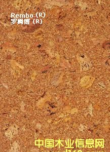 ������ܛľճ�N�ذ��Ԕ����B