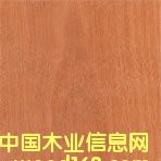 �N����Ԕ��(x��)��B