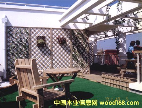 ����ľ��Ԕ��(x��)��B