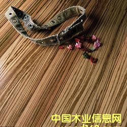 ���Rľ��(sh��)ľ��(f��)�ϵذ��Ԕ��(x��)��B