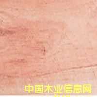 �c���鿴̩���t��Ŵ�DƬ