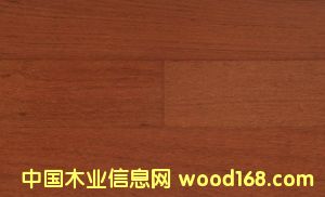 �c���鿴��ؐ�Ŵ�DƬ