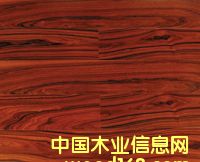 �c���鿴��֦�Ŵ�DƬ