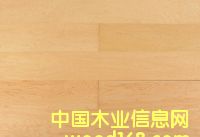 �c���鿴��ľ�Ŵ�DƬ