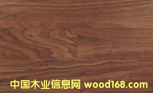 �c���鿴�ں��ҷŴ�DƬ