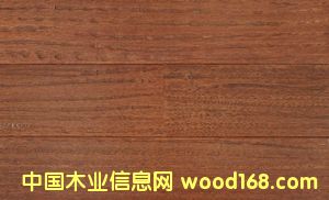 �c���鿴ɳ�������¹ţ��Ŵ�DƬ