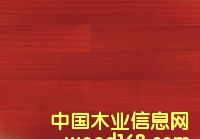 �c���鿴�����t̴�Ŵ�DƬ