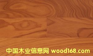 �c���鿴����ҷŴ�DƬ