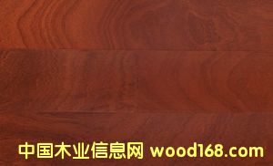 �c���鿴���޼t̴�Ŵ�DƬ