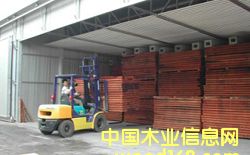 ��ĸ����Ԕ��(x��)��B