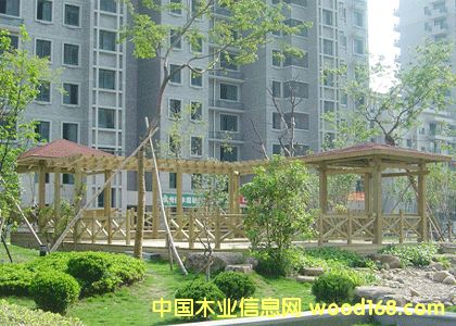 ����ľ����