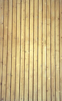 �oɫ����ľ�ĵ�Ԕ��(x��)��B