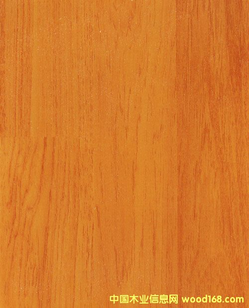 ��Ȼ���L(f��ng)����(qi��ng)���ذ��Ԕ��(x��)��B