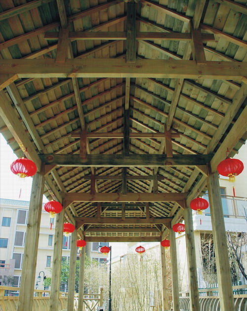 ����ľ��Ԕ��(x��)��B