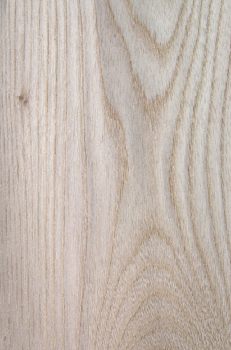 ���a(ch��n)��˨��ɽ�y��china  hackberry(c)