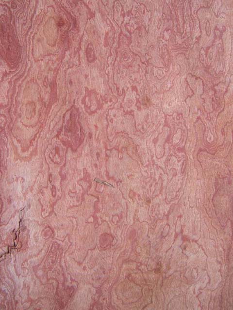 �t̴����(j��ng)��y·��ľƤcabreuva burl