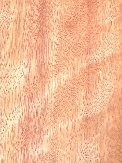 ����Ӱ (��������l(w��i)ì)cupiuba(Q)��Ԕ��(x��)��B