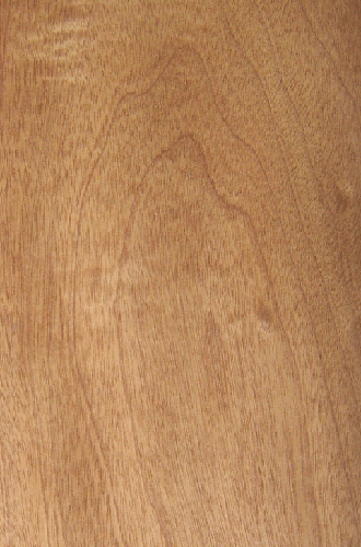 �՗����t���� �t̴��ľƤchina red cherry(c